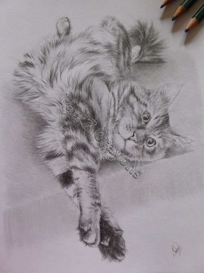 Boushy