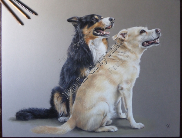 chiens